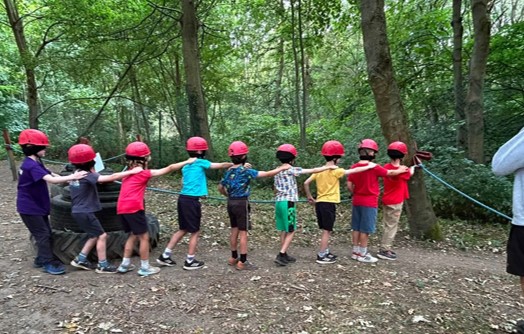 woodland adventure